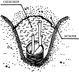 сверлильные станки fdb