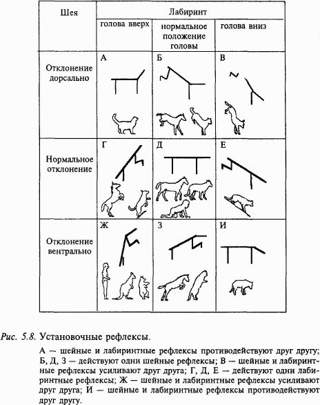 измерительная машина изм