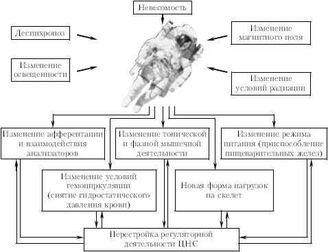 materiel culture