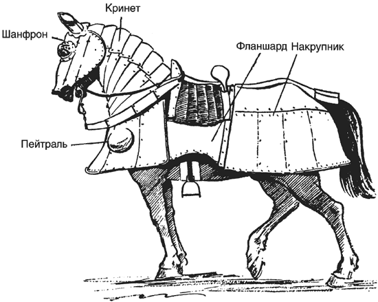 Рыцарь и его конь  I_049