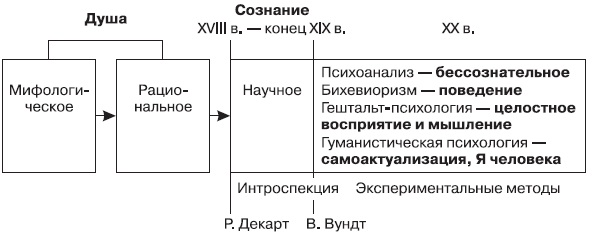 cyclotomic fields 1978