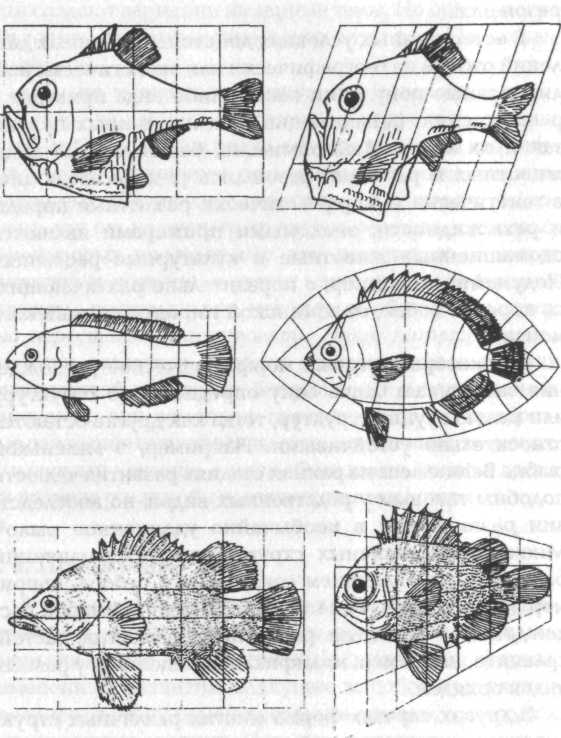 i_019.jpg