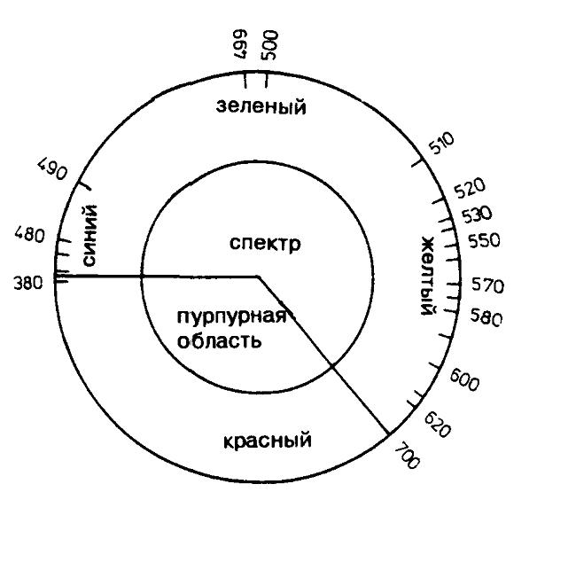 тему мышление на доязыковое доклад и неязыковое