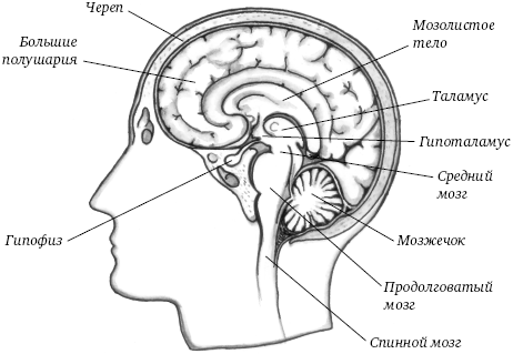 online comparative nuclear effects of